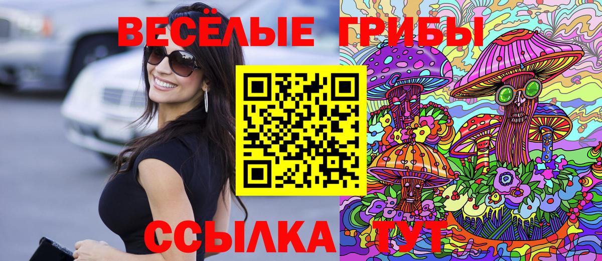 Кузнецк  Псилоцибиновые грибы Cubensis  Галлюциногенные грибы ЛСД  Вход с VPN 